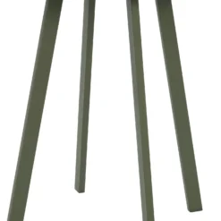 Intratuin Bijzettafel Latte Groen D 40 H 50 Cm
