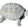 Mega Collections Tuinbeeld Schildpad Grijs 31 X 22 X 14,5 Cm 1 Mega Collections Tuinbeeld Schildpad Grijs 31 X 22 X 14,5 Cm -Madison Sales Store 8714075016423
