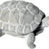 Tuinbeeld Deko Schildpad Grijs 24 X 18,5 X 10 Cm 1 Tuinbeeld Deko Schildpad Grijs 24 X 18,5 X 10 Cm -Madison Sales Store 8714075451644 0