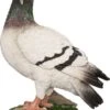Intratuin Tuinbeeld Duif Grijs 16,5 X 9 X 21 Cm -Madison Sales Store 8717263791744 1