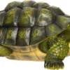 Intratuin Tuinbeeld Schildpad Groen 21,5 X 27 X 13 Cm