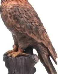 Farmwood Tuinbeeld Adelaar Bruin 16 X 20 X 40 Cm