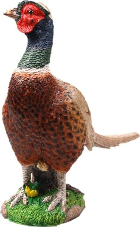 Farmwood Tuinbeeld Fazant Multi 32 X 13 X 20 Cm 3 Farmwood Tuinbeeld Fazant Multi 32 X 13 X 20 Cm