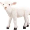 Farmwood Tuinbeeld Lam Tjerry Wit 35 X 13,5 X 31 Cm -Madison Sales Store 8719048104602 0