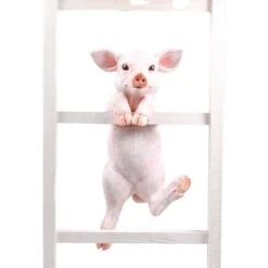 Farmwood Tuinbeeld Biggetje Roze 25 X 21 X 49,5 Cm