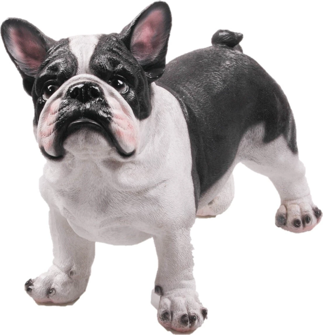 Farmwood Tuinbeeld Bulldog Zwart / Wit 38 X 19 X 30 Cm 3 Farmwood Tuinbeeld Bulldog Zwart / Wit 38 X 19 X 30 Cm