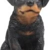 Farmwood Tuinbeeld Rotweiler Puppie Zwart / Bruin 14 X 10 X 15 Cm -Madison Sales Store 8719048109713 0
