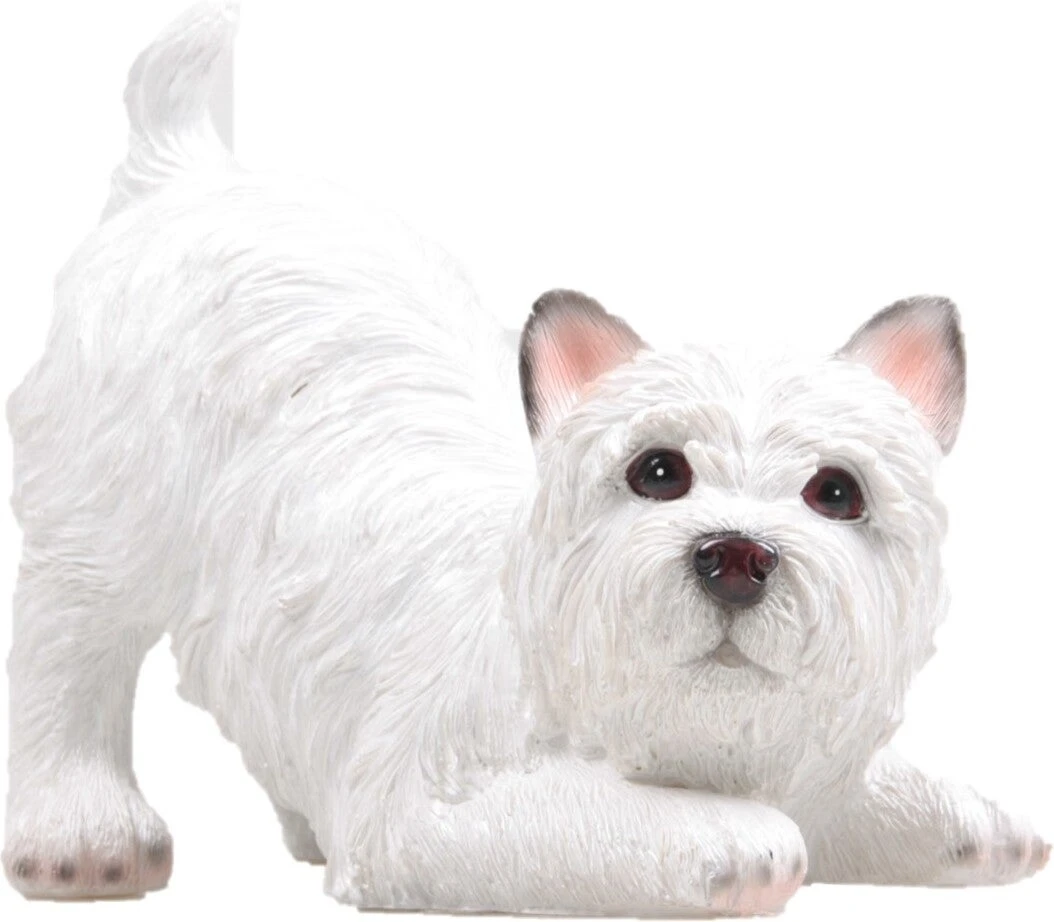 Farmwood Tuinbeeld West Highland Puppie Renee Wit 22 X 9 X 17 Cm 3 Farmwood Tuinbeeld West Highland Puppie Renee Wit 22 X 9 X 17 Cm