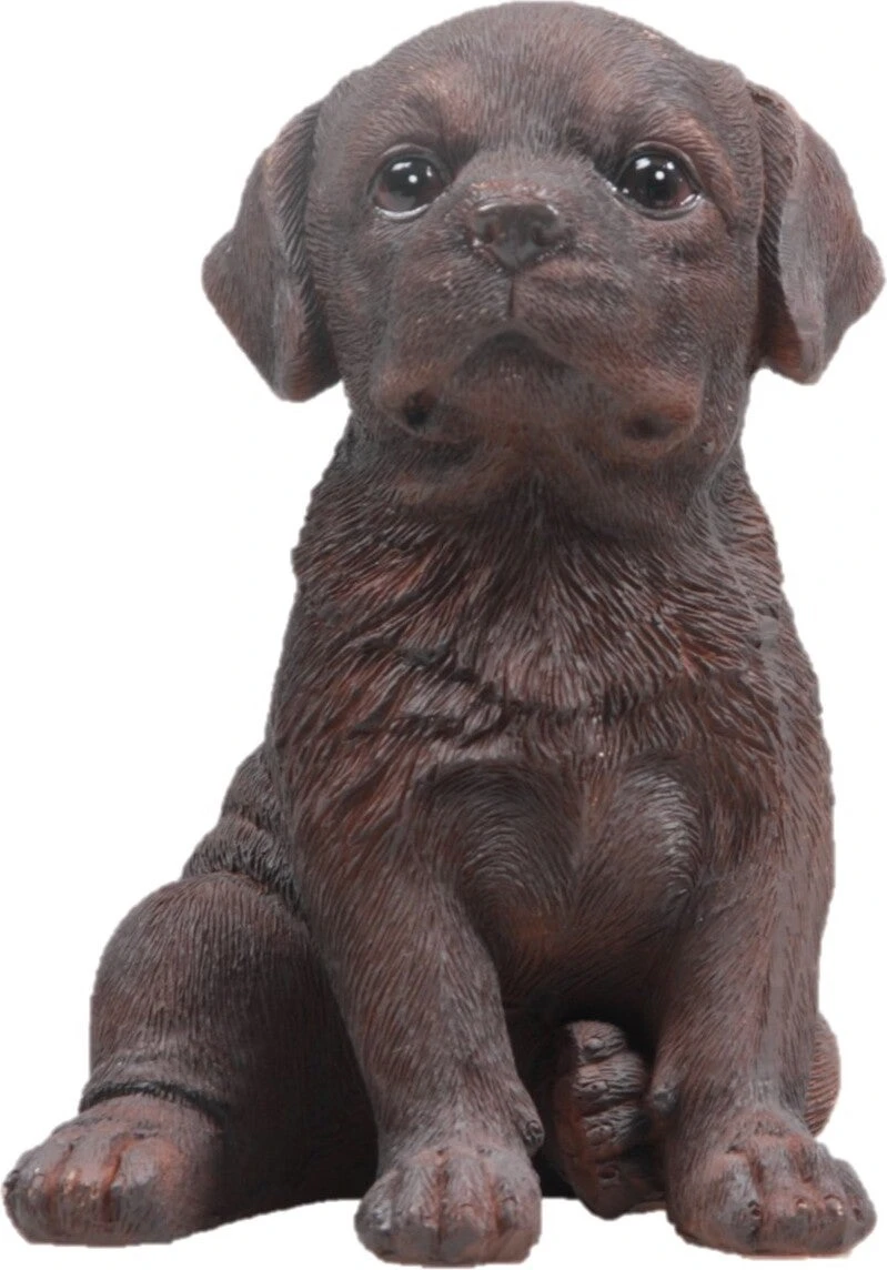 Farmwood Tuinbeeld Labrador Puppie Bruin 13 X 13 X 16 Cm 3 Farmwood Tuinbeeld Labrador Puppie Bruin 13 X 13 X 16 Cm