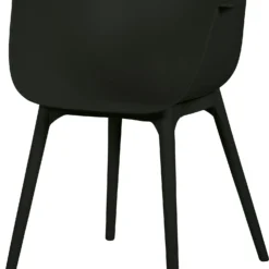 Intratuin Kuipstoel Bo Zwart