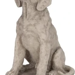 Intratuin Tuinbeeld Hond Grijs 43,5 X 39 X 60 Cm
