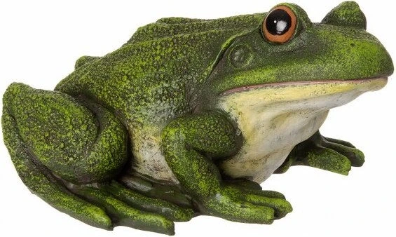Intratuin Tuinbeeld Kikker Gert Groen 19 X 16 X 10 Cm 3 Intratuin Tuinbeeld Kikker Gert Groen 19 X 16 X 10 Cm