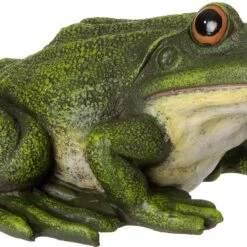 Intratuin Tuinbeeld Kikker Gert Groen 27 X 25 X 11,5 Cm