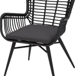 Intratuin Eettafelstoel Bibi Zwart