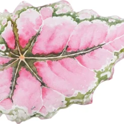 In The Mood Collection Sierkussen Blad Cheryl Roze 60 X 40 X 12 Cm